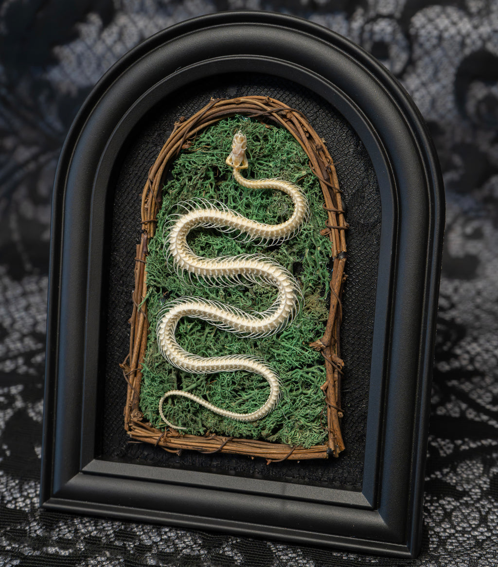 Gothic Snake Skeleton Art