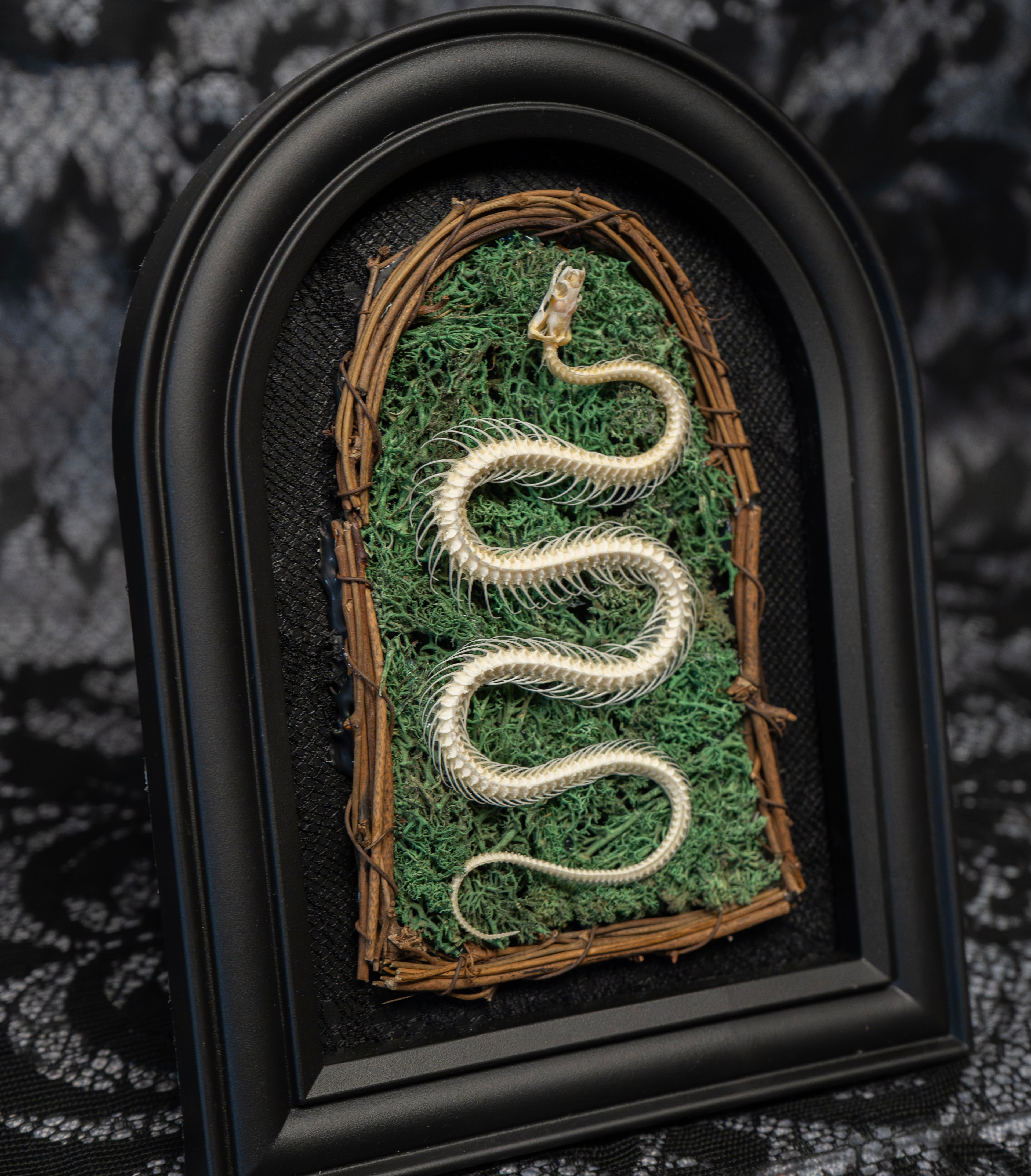 Gothic Snake Skeleton Art
