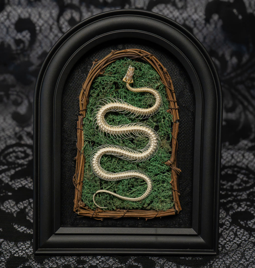 Gothic Snake Skeleton Art