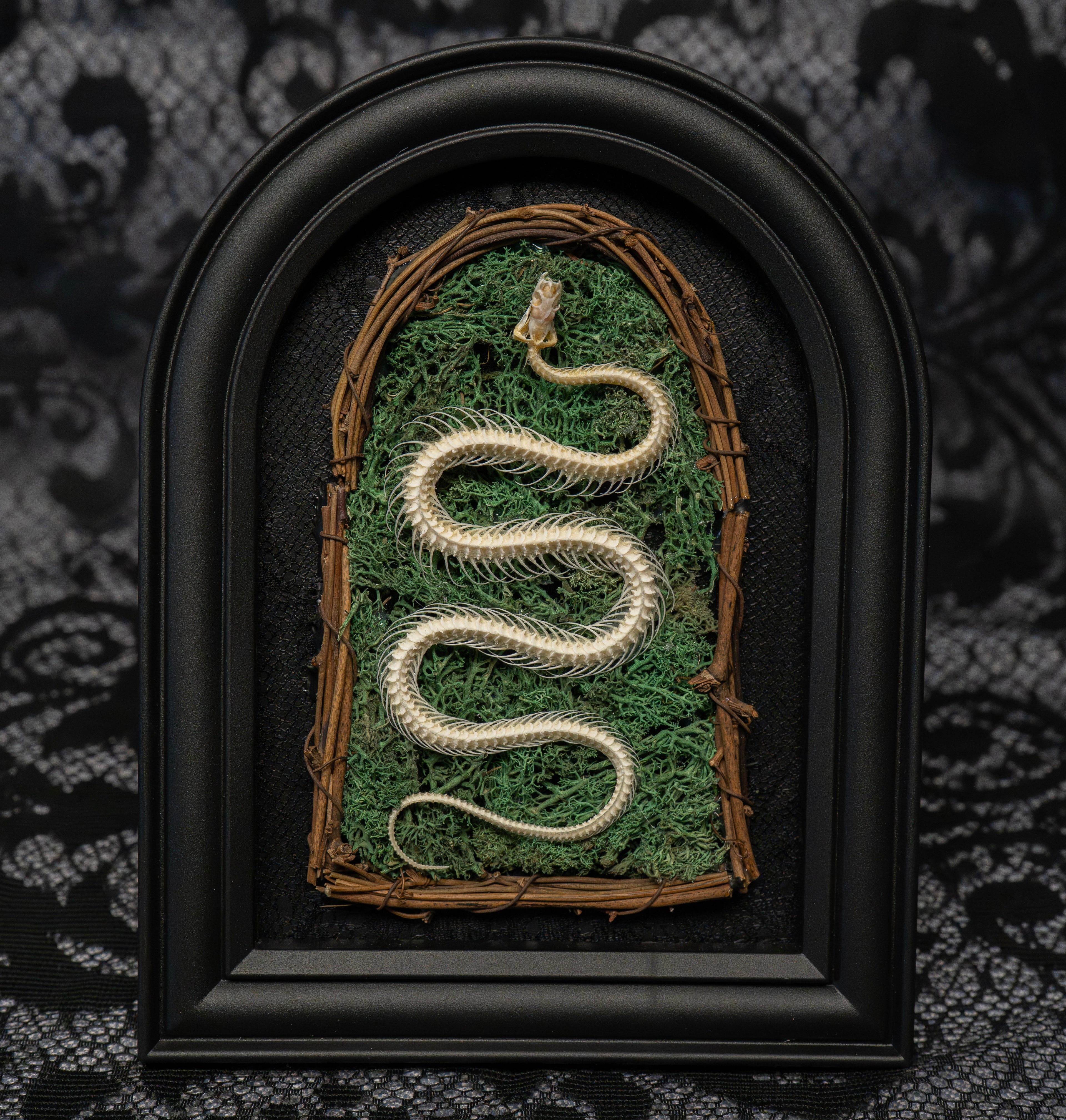 Gothic Snake Skeleton Art