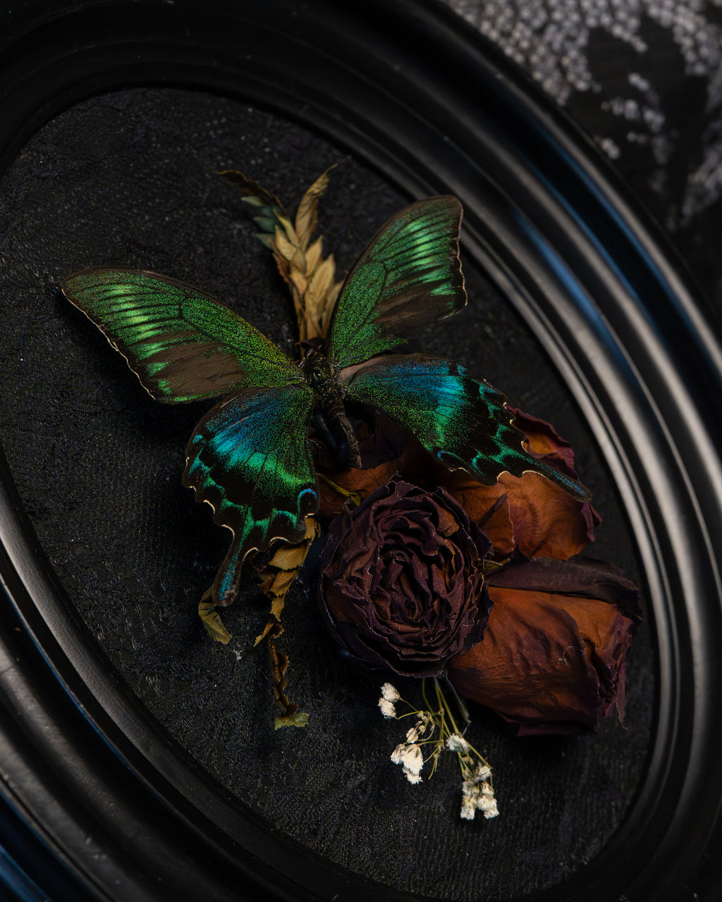 Gothic Butterfly Flower Wall Art