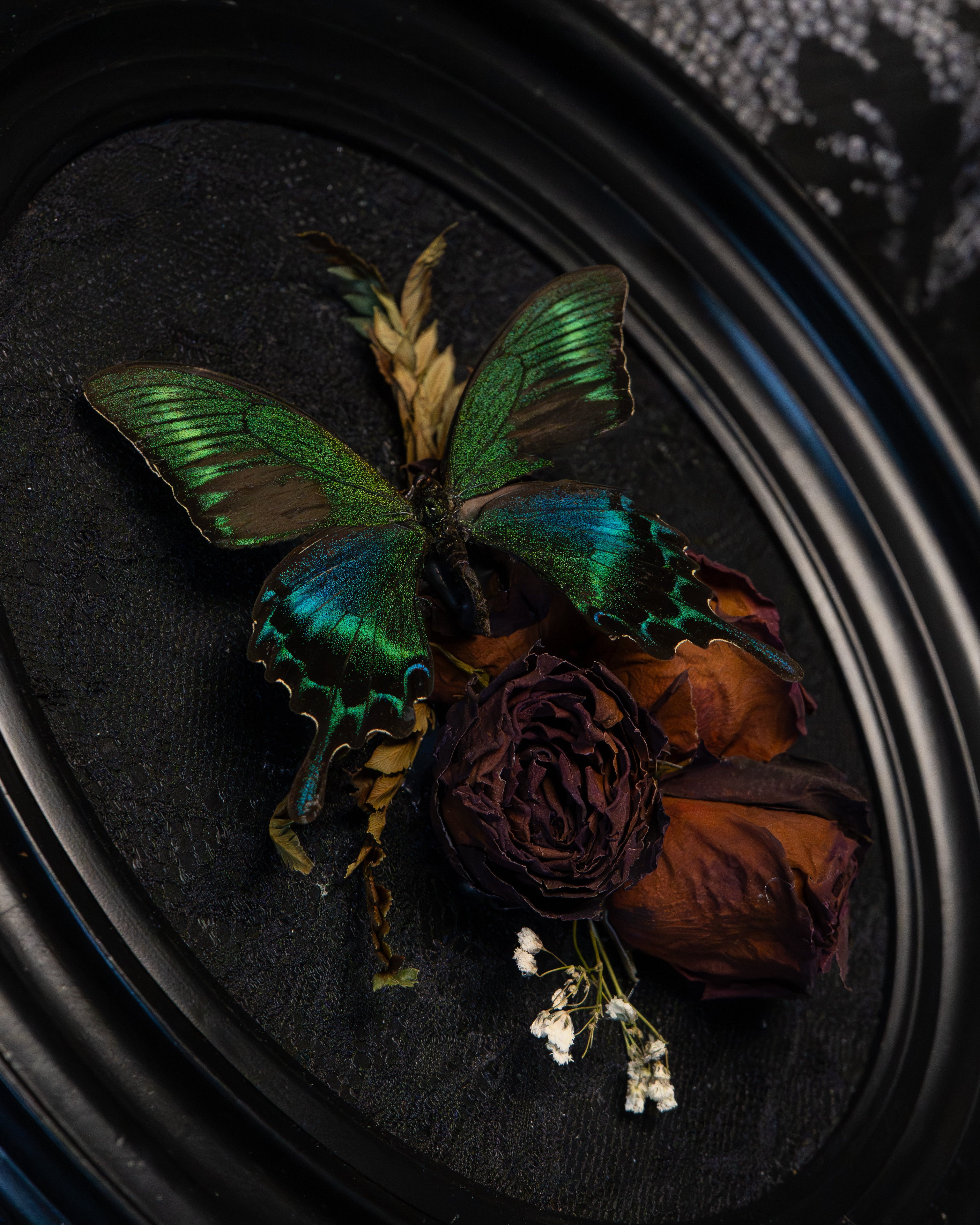 Gothic Butterfly Flower Wall Art