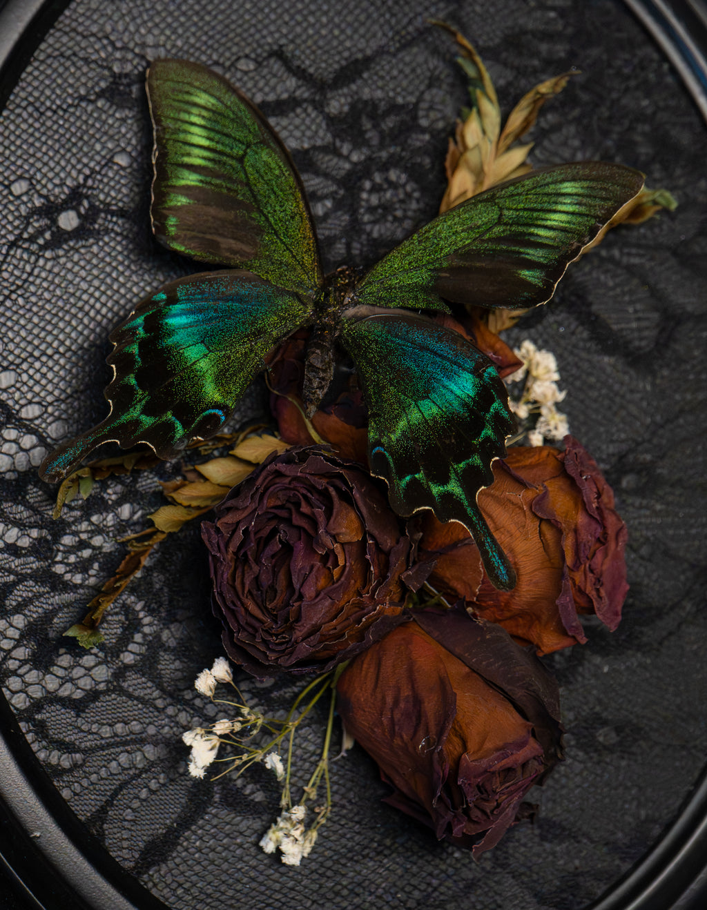 Gothic Butterfly Flower Wall Art