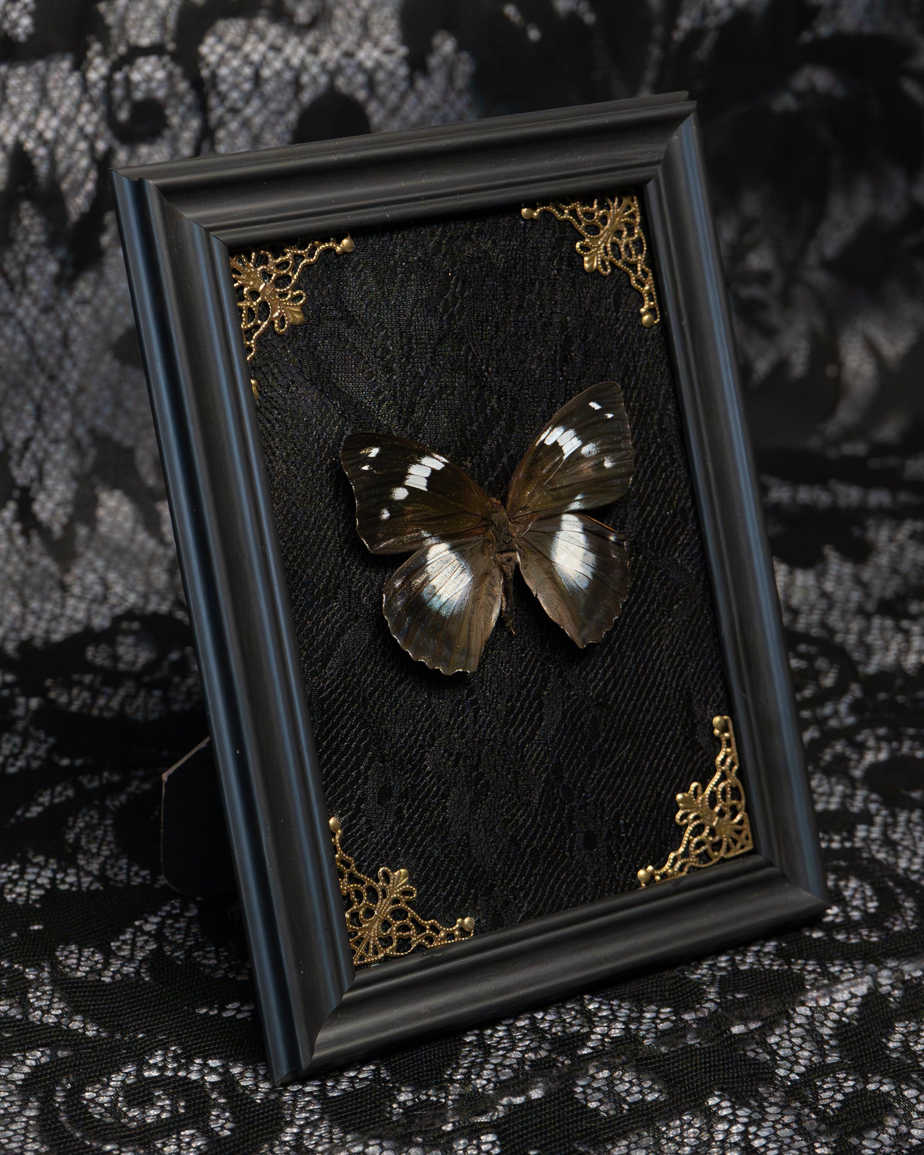 Gothic Butterfly Frame