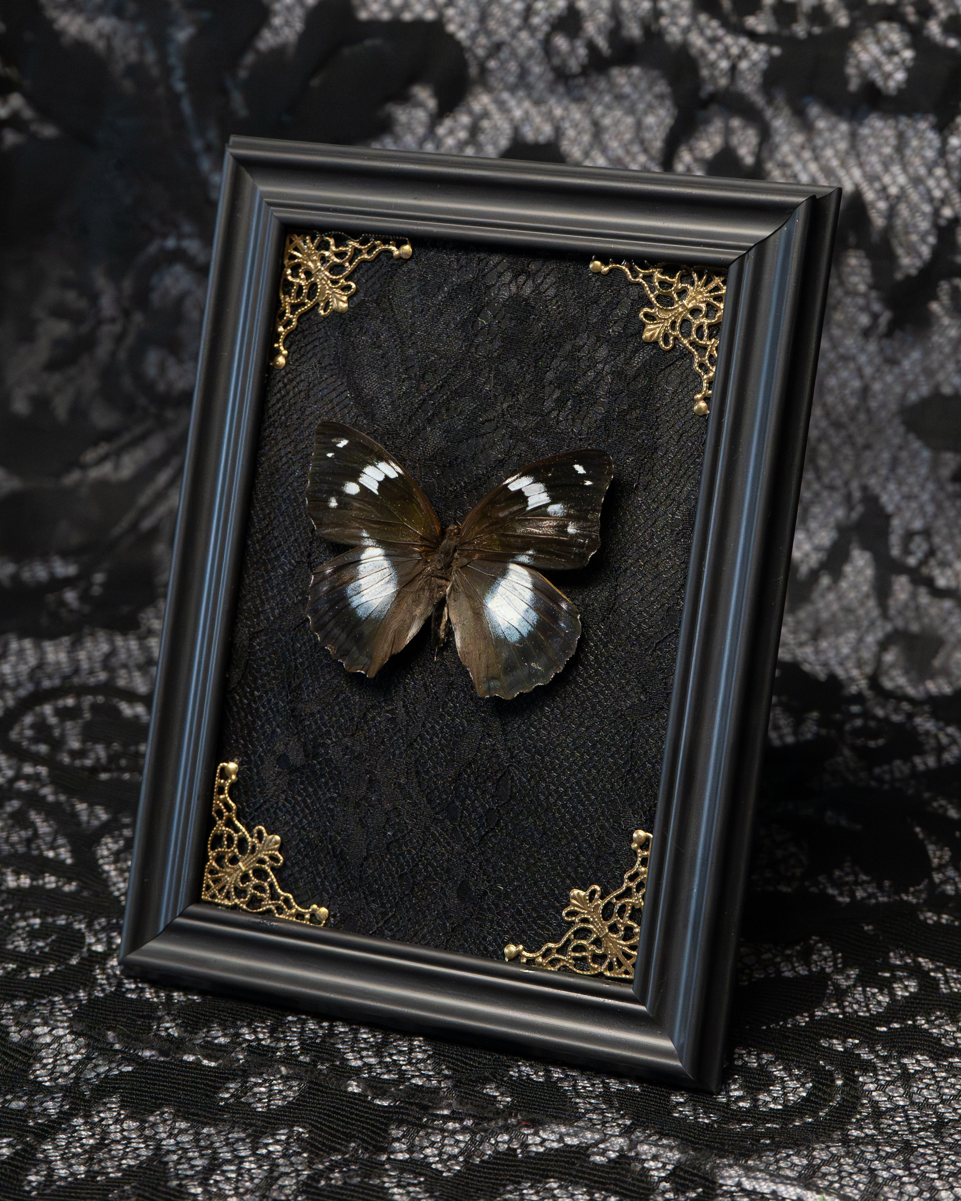 Gothic Butterfly Frame