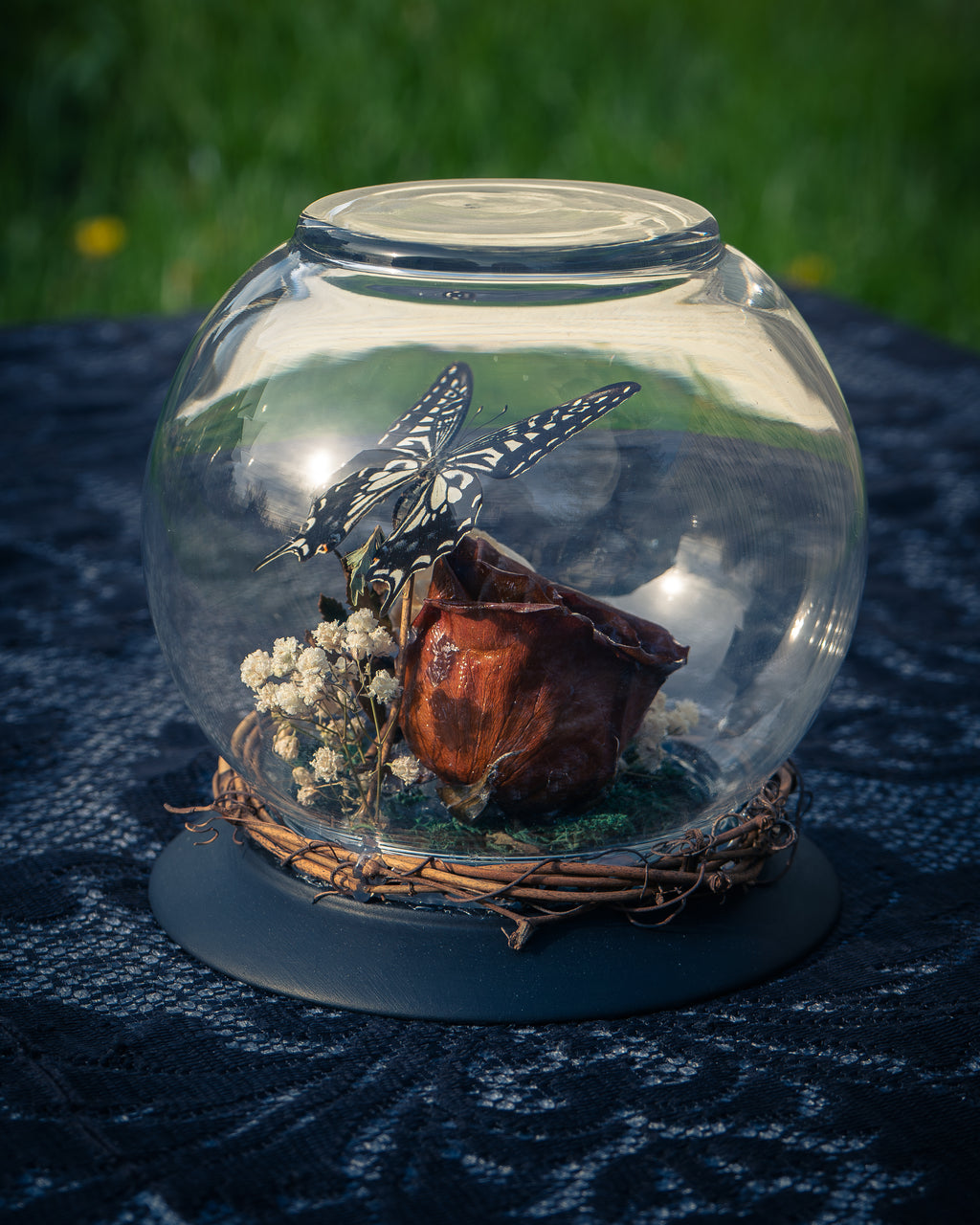 Butterfly Mink Skull Globe