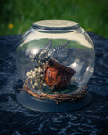 Butterfly Mink Skull Globe