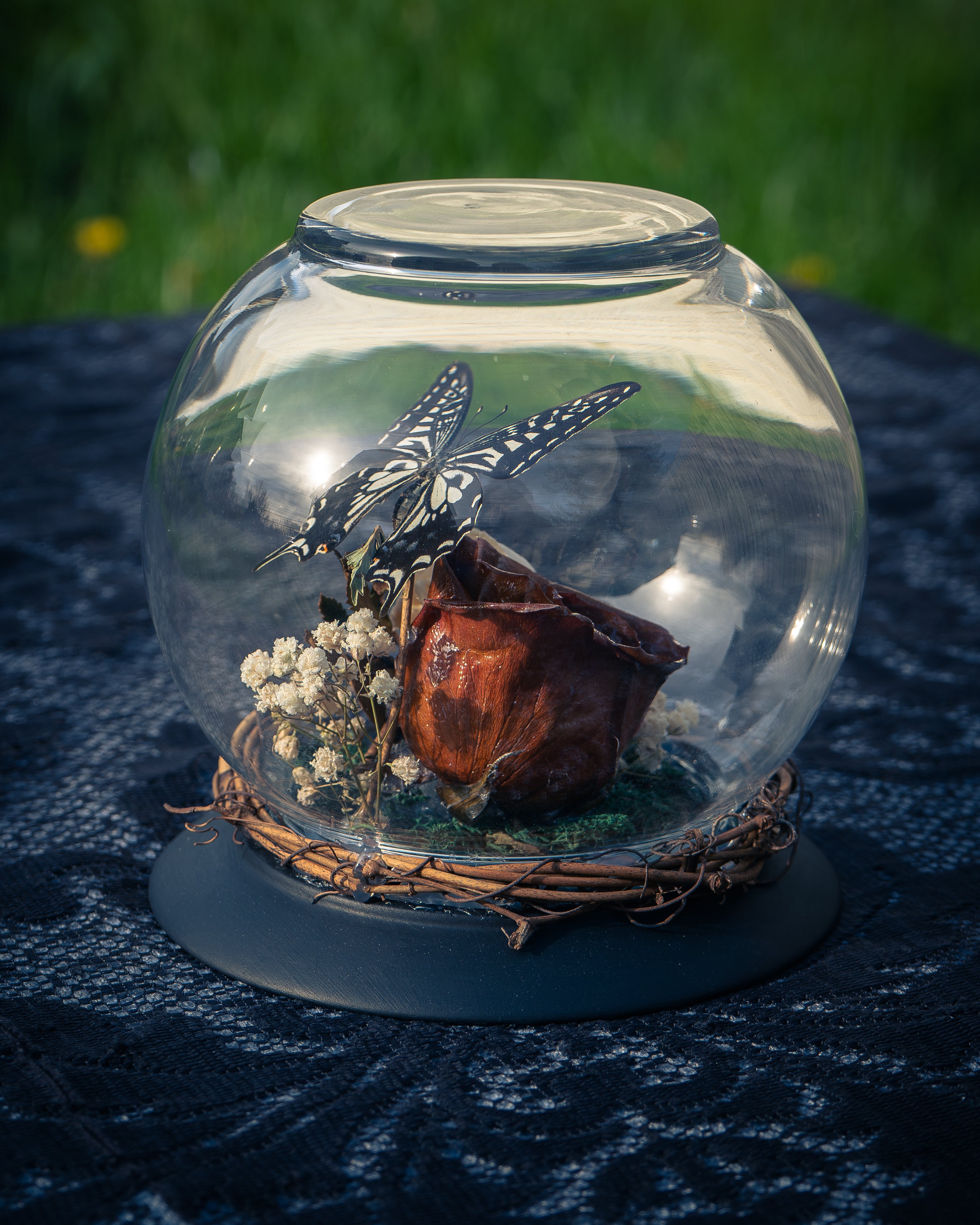 Butterfly Mink Skull Globe