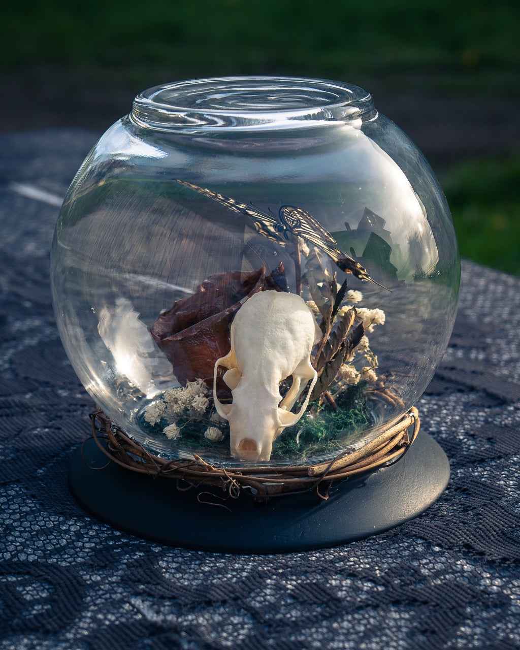 Butterfly Mink Skull Globe