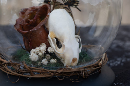 Butterfly Mink Skull Globe